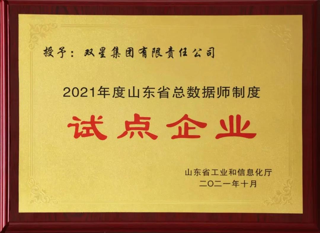 試點(diǎn)企業(yè) 試點(diǎn)企業(yè)